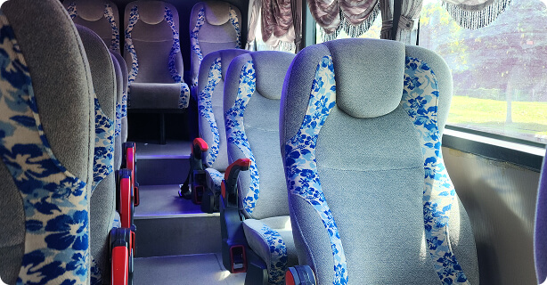 transnasional-economy-bus-T30-seater-back