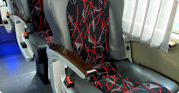 transnasional-executive-busT30-seater-back